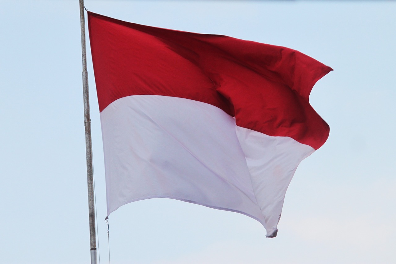 flag indonesian flag red and white flag free photo