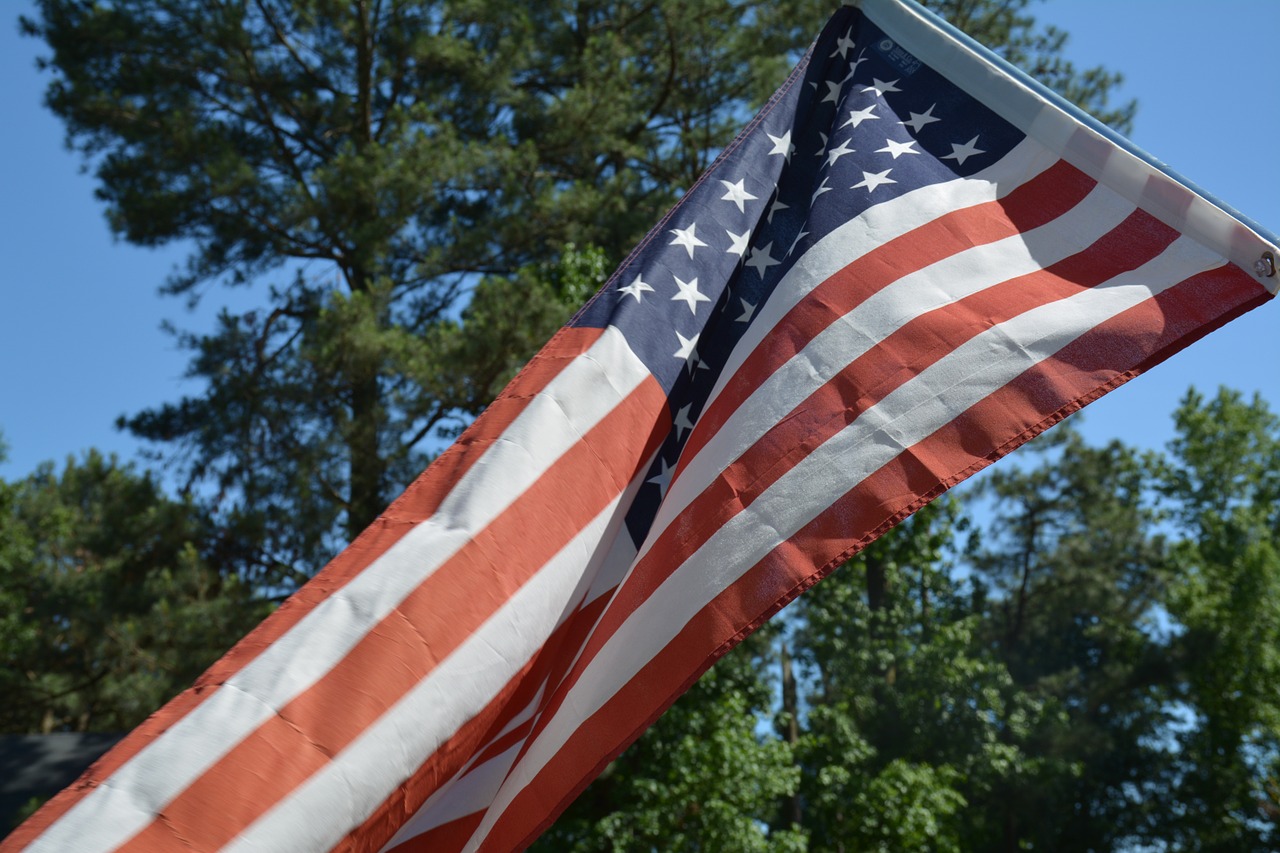 flag american flag tree free photo