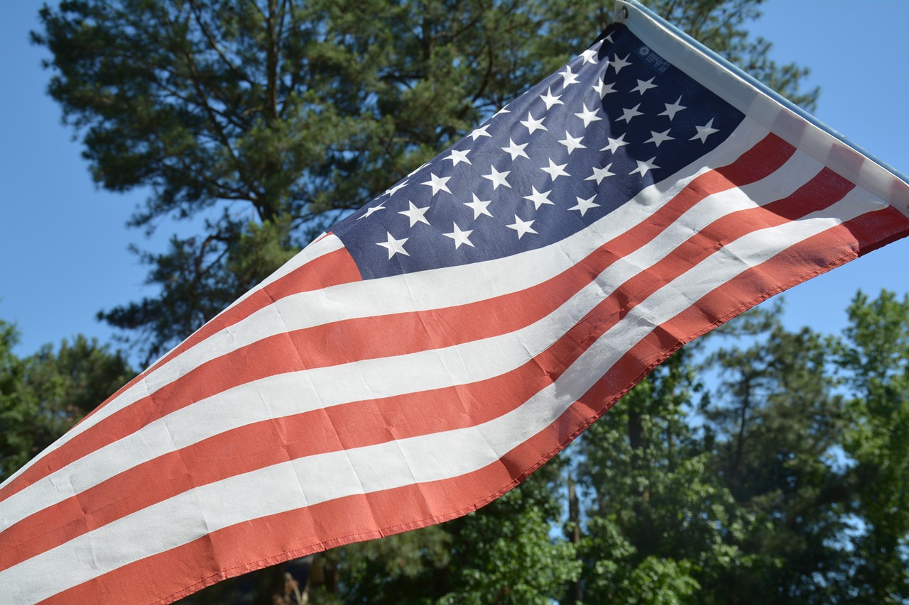 flag american flag tree free photo