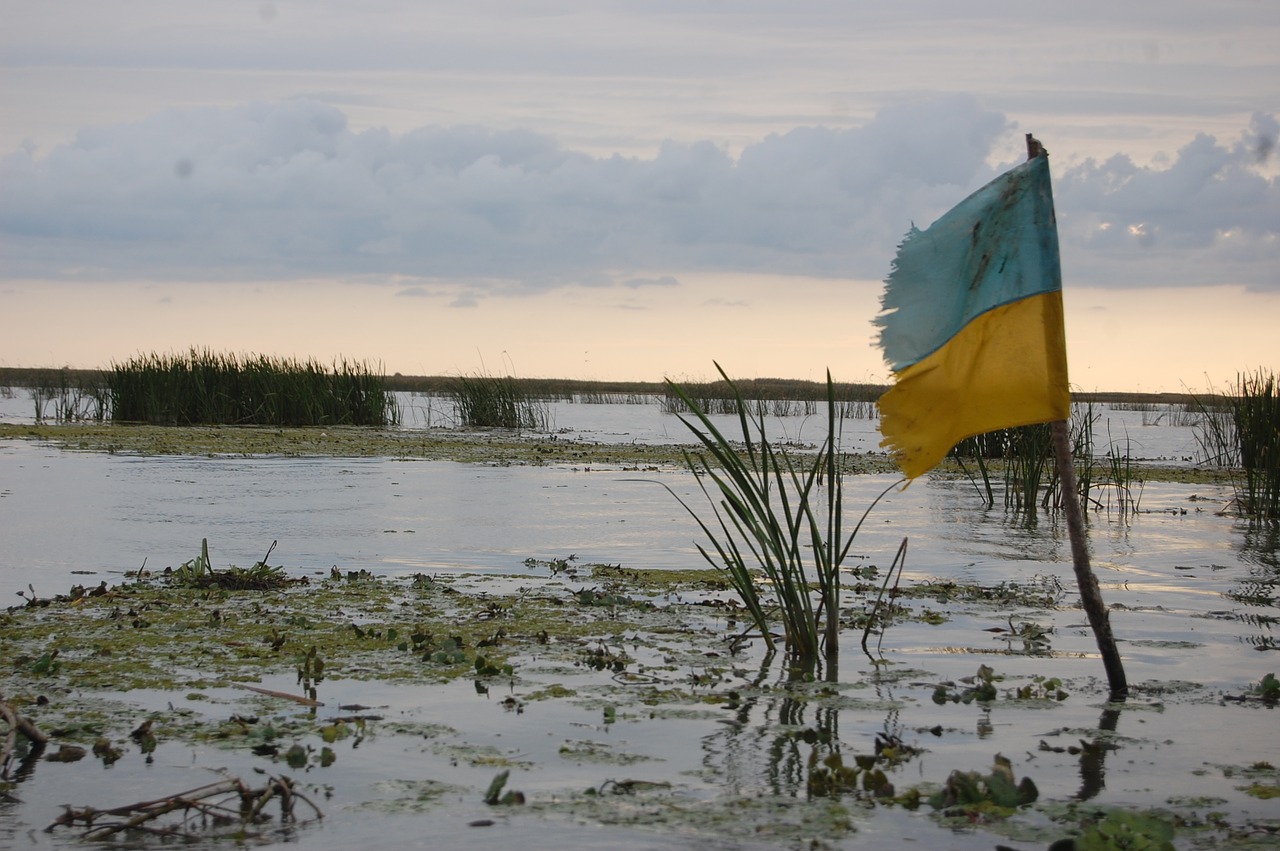 flag ukraine swamp free photo