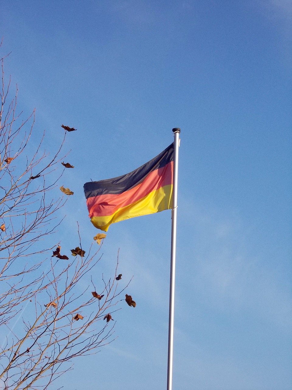 flag flagpole germany flag free photo