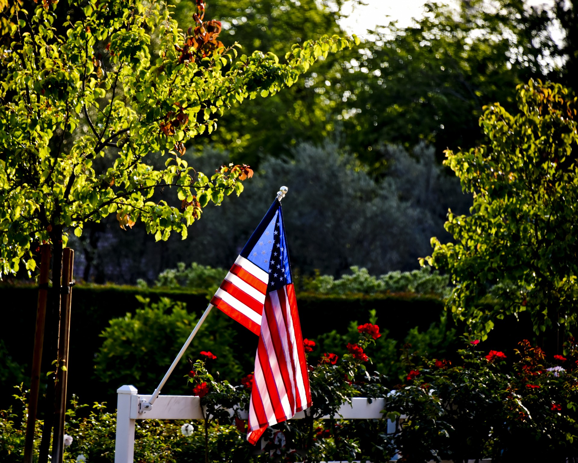 american flag light free photo