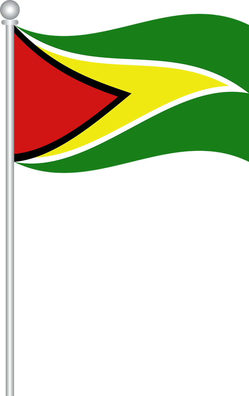 flag of guyana flag guyana free photo