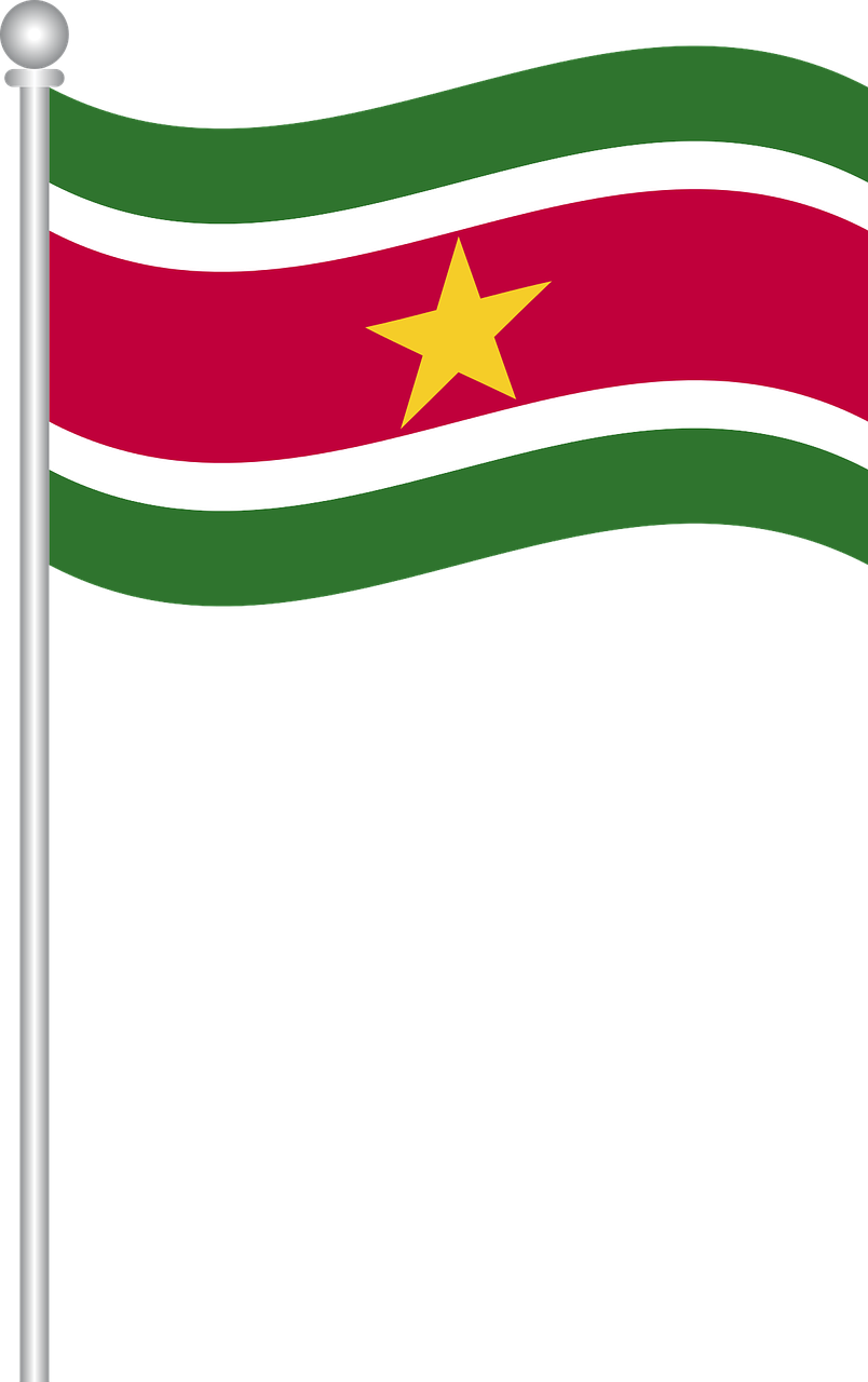 flag of suriname flag country free photo