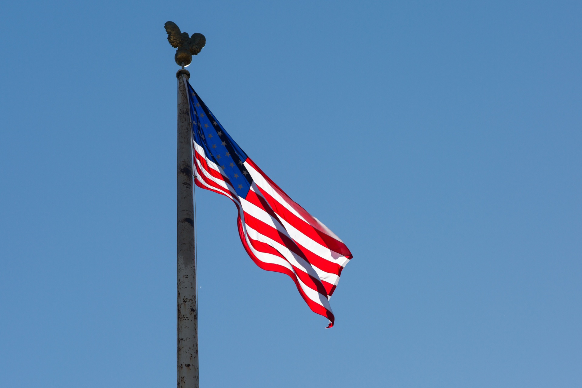 flag american waving free photo