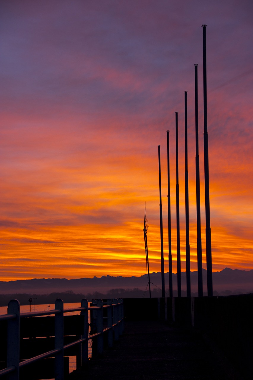 flag poles morning sun free photo