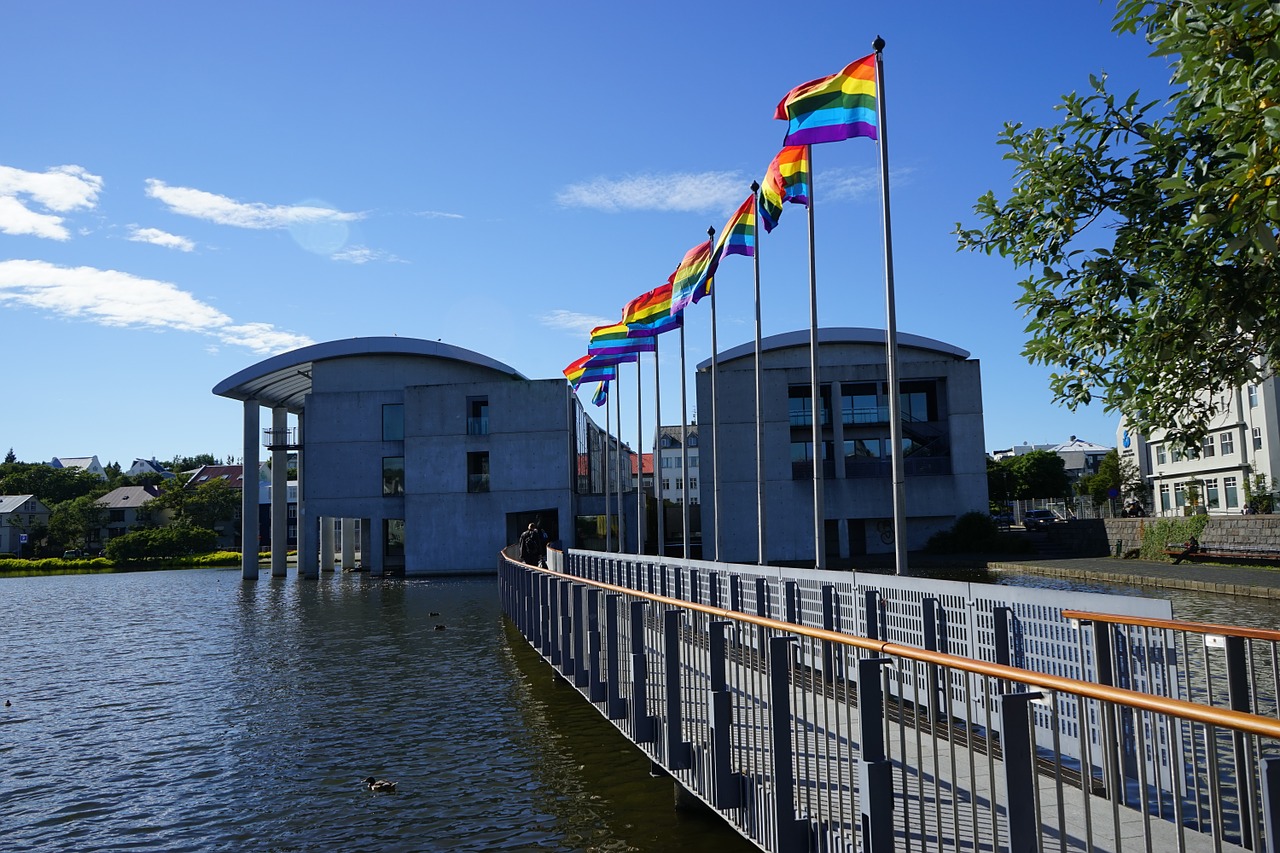 flags town hall bridge reykjavik free photo