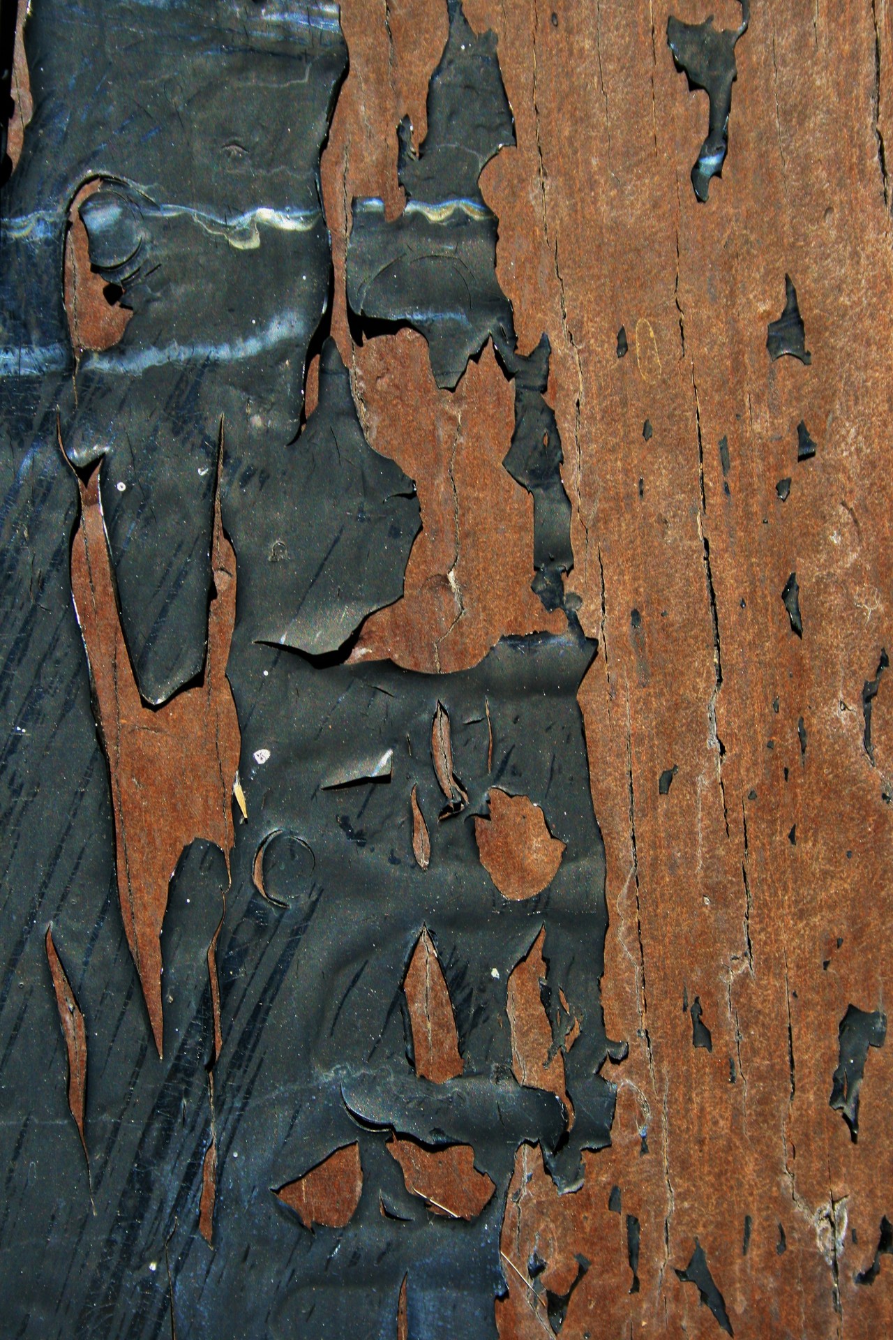 wood paint black free photo