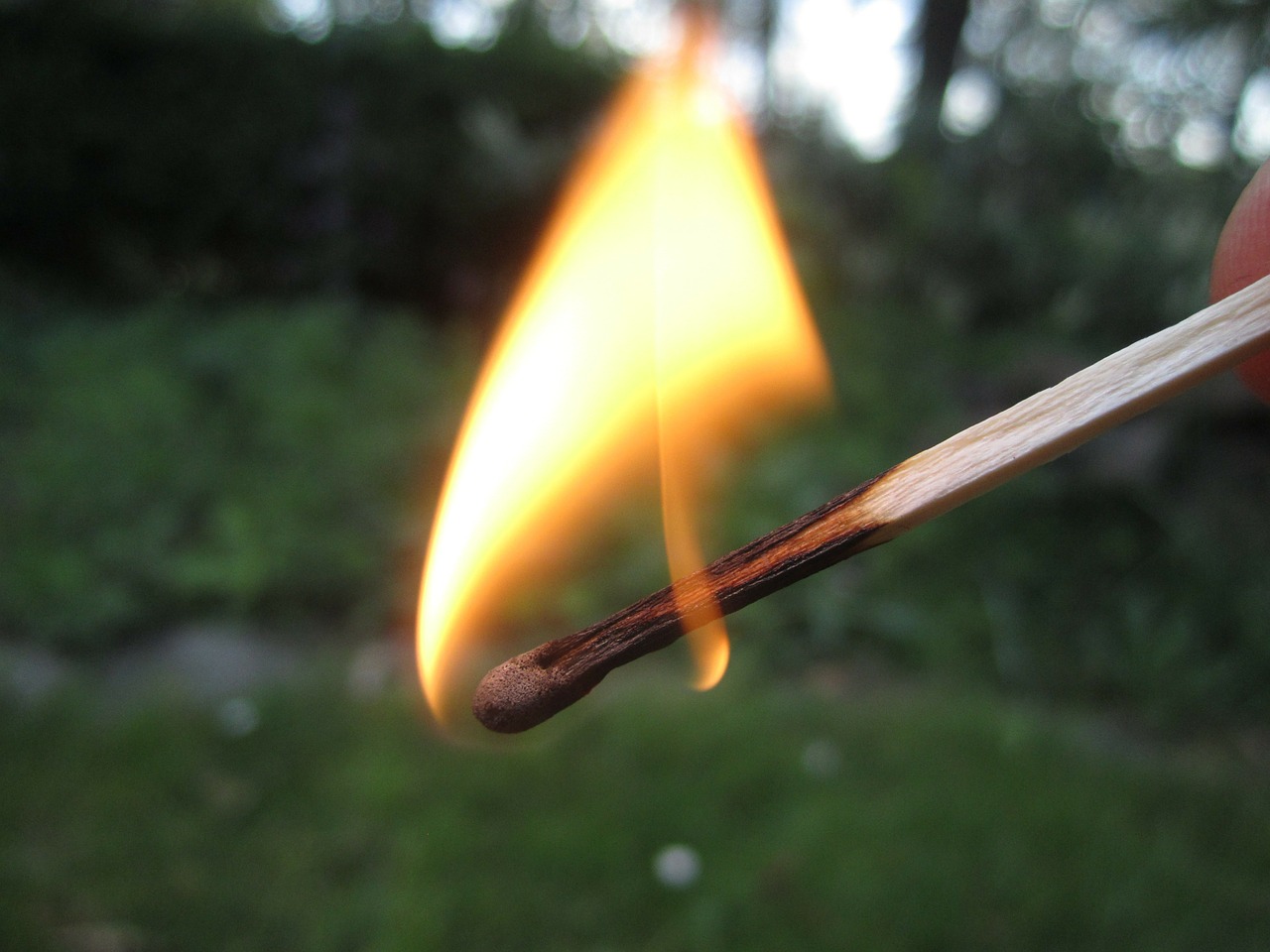 flame fire match free photo