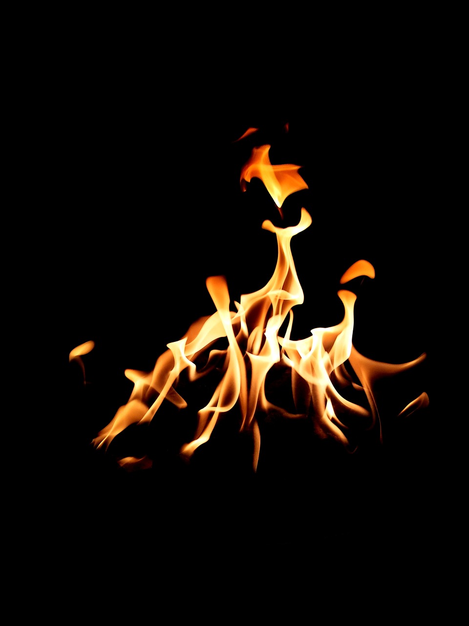 flame  hot  motion free photo