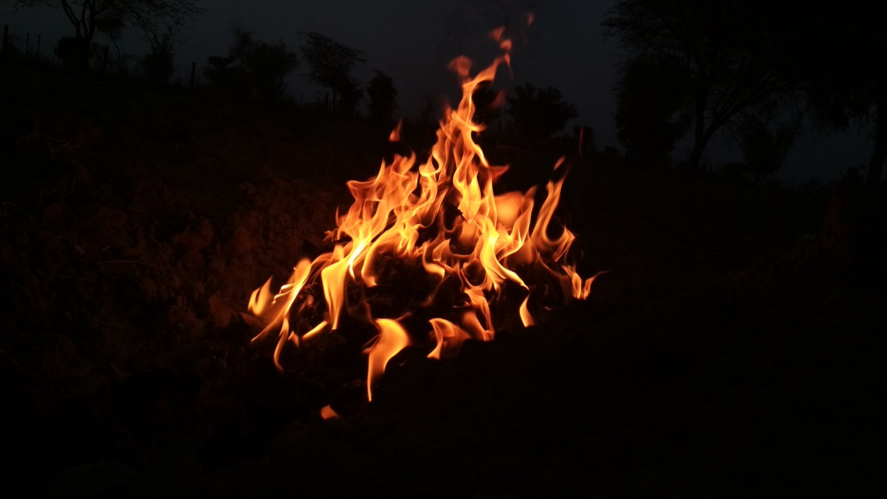 flame  hot  bonfire free photo