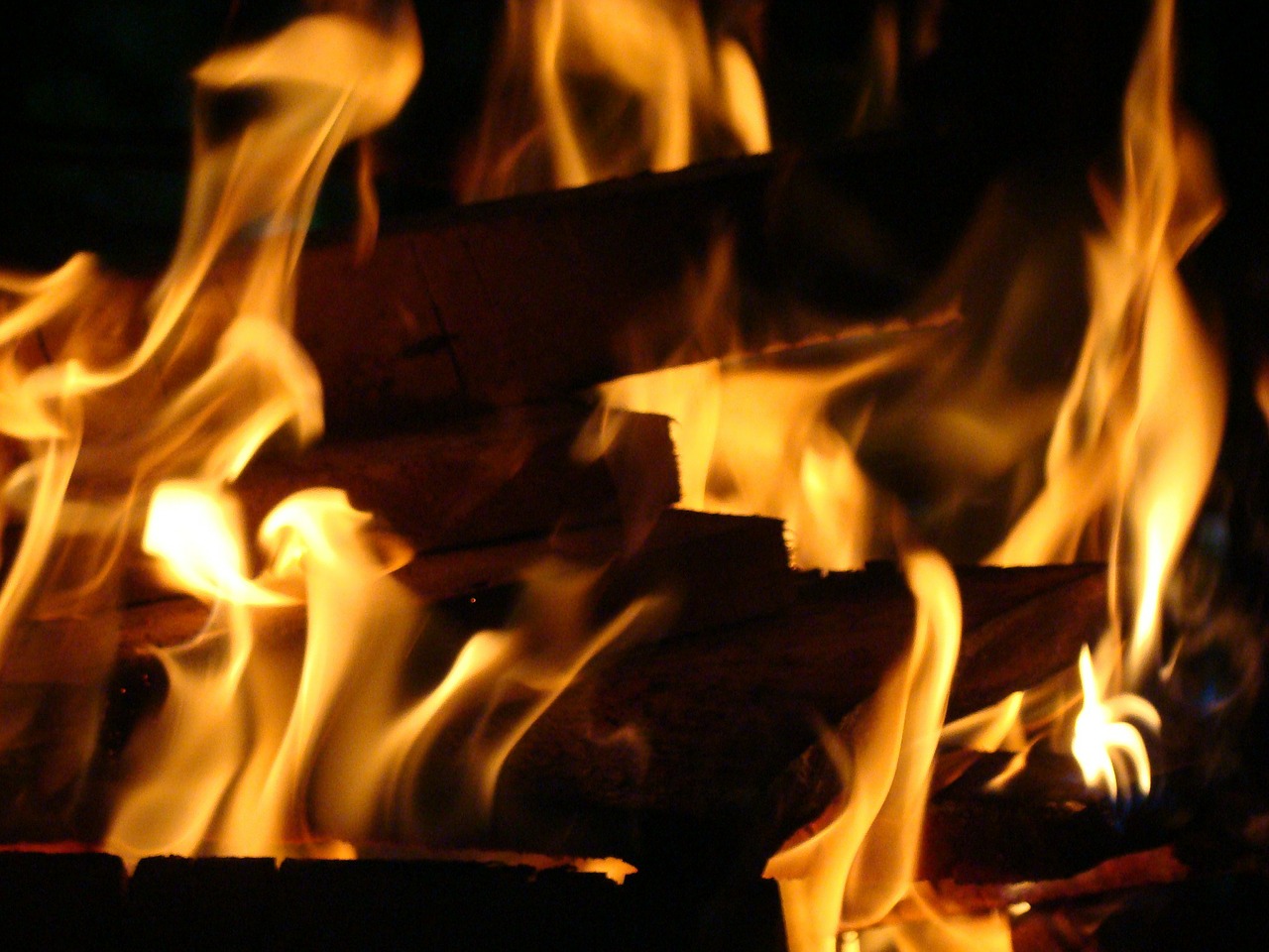 flame fire wood free photo