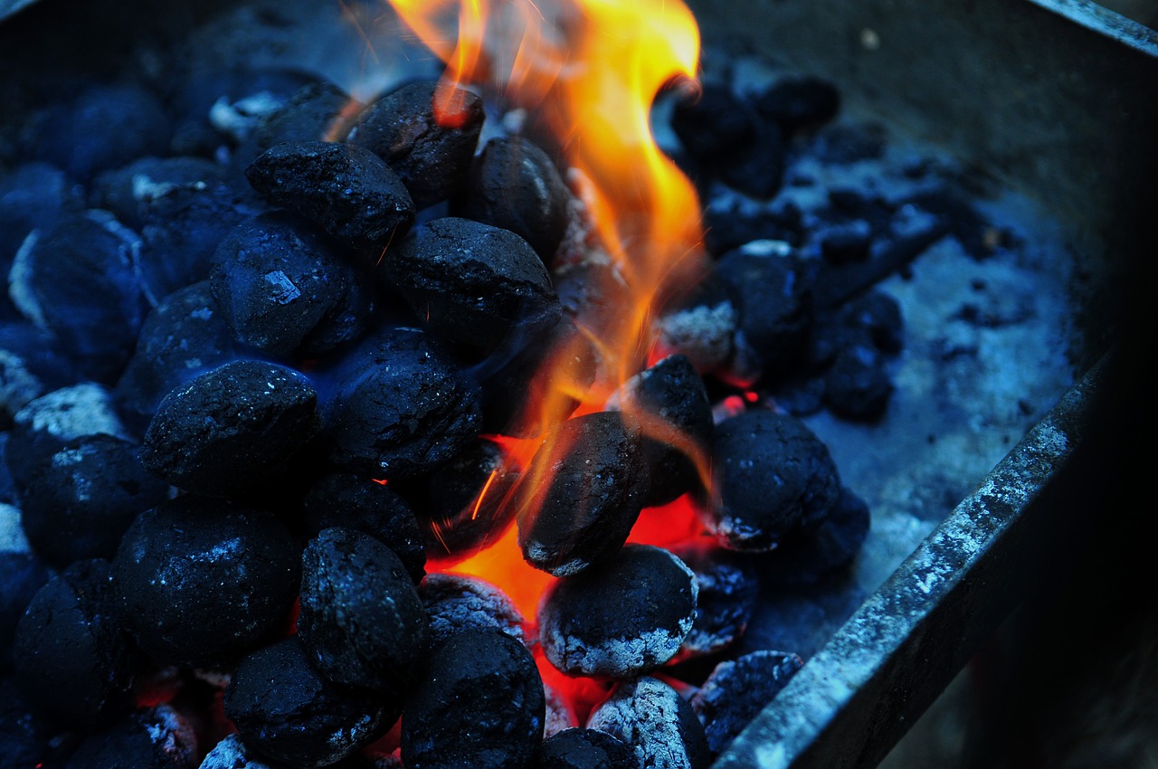 flame charcoal barbecue free photo