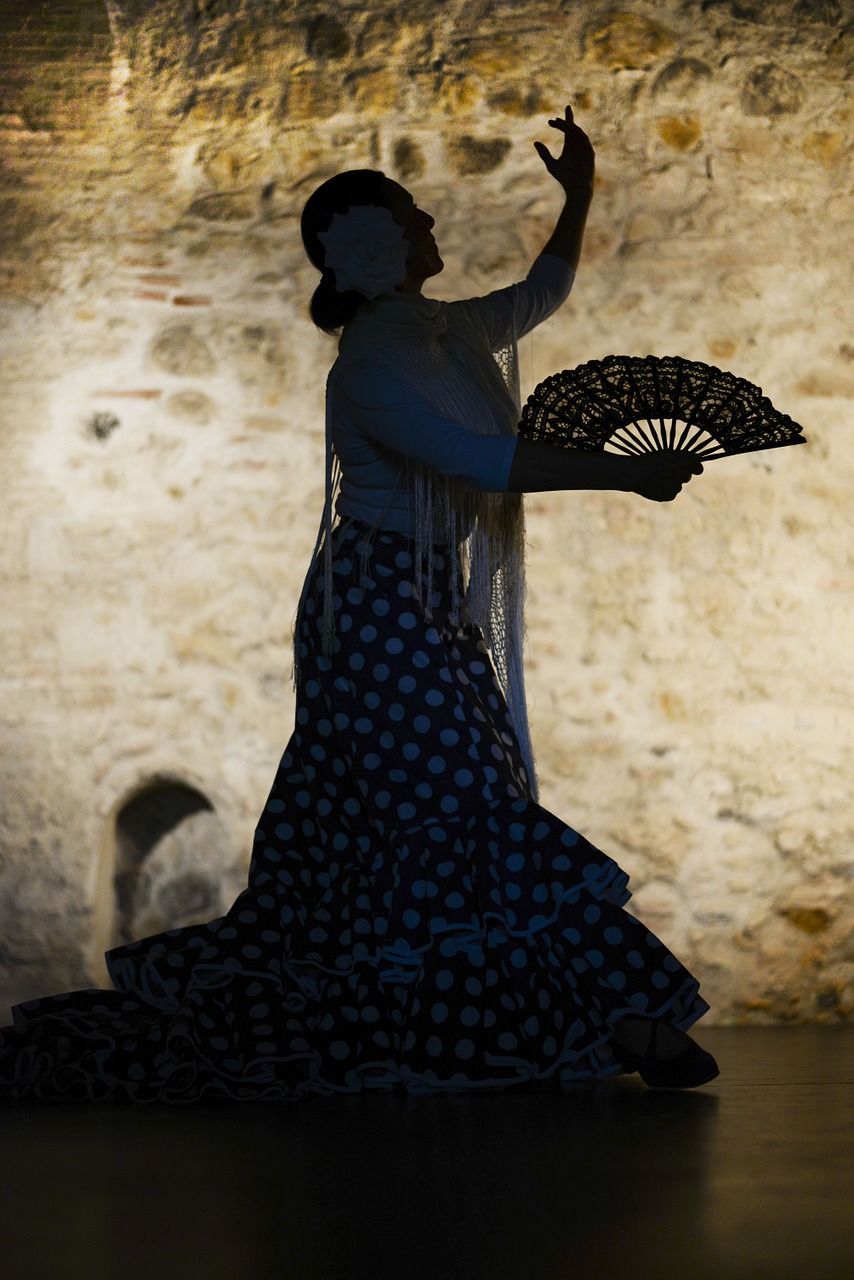 flamenco sevilla dan free photo