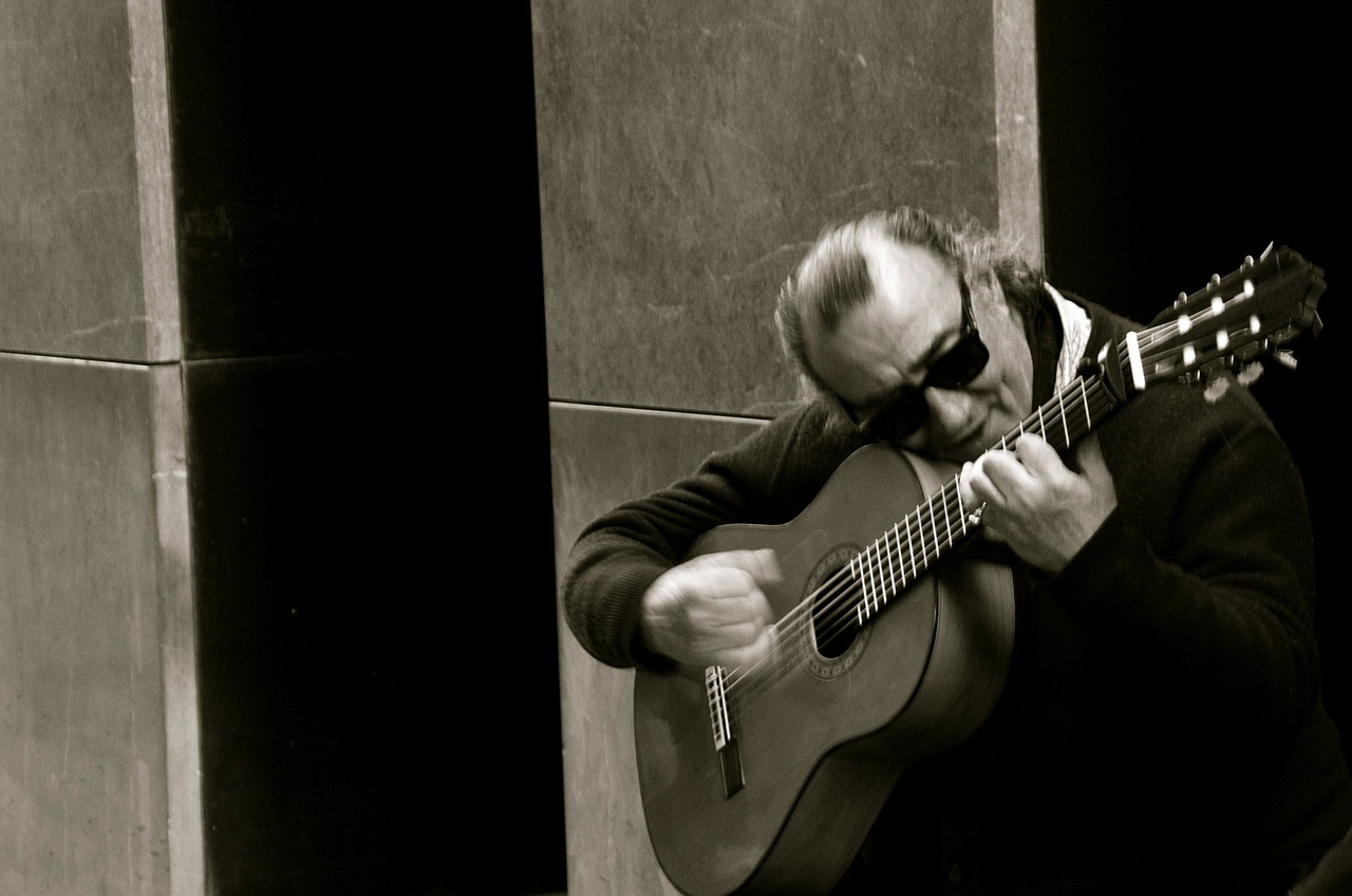 flamenco guitar spanish guitar free photo