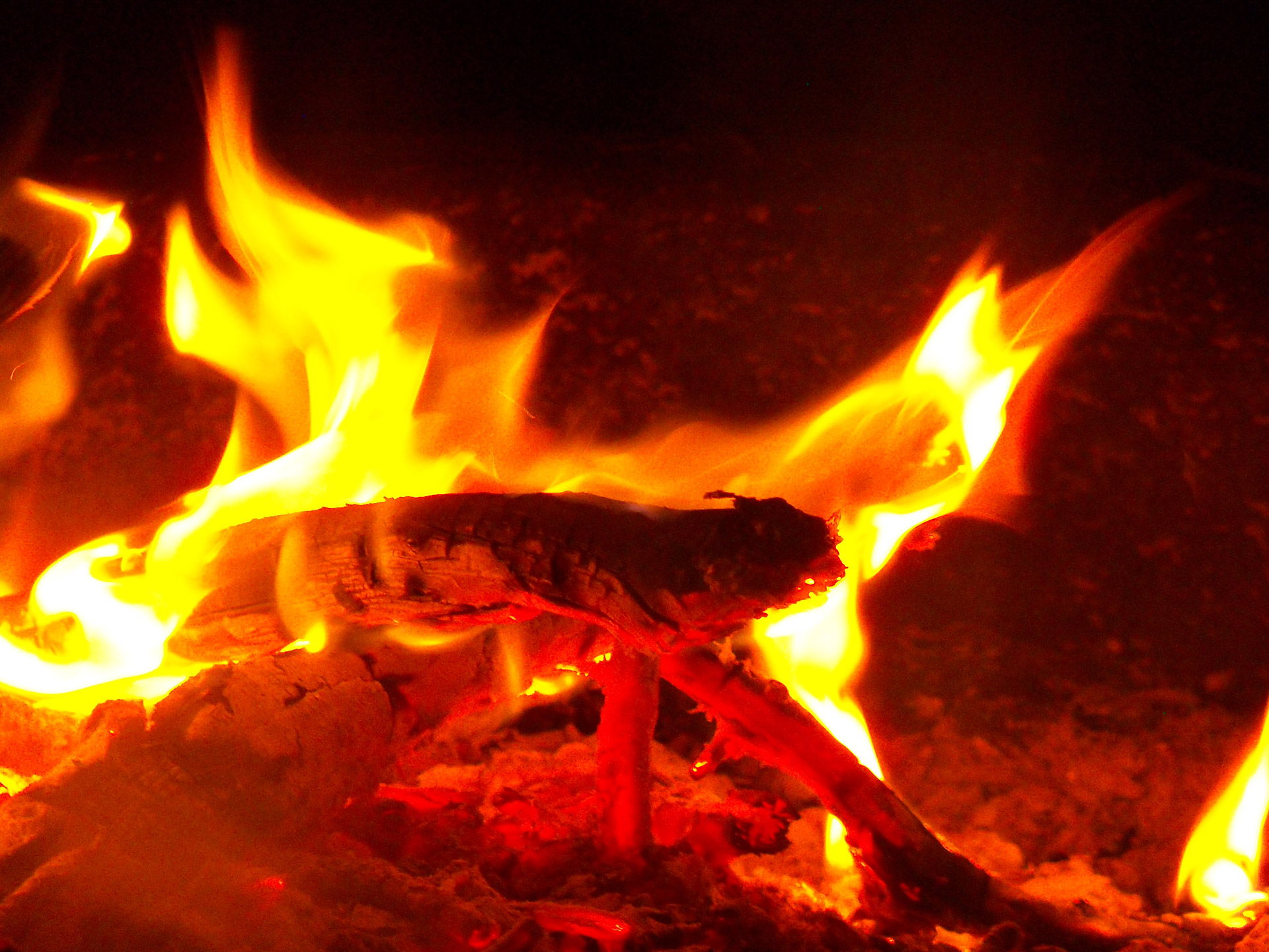 flame flames fire free photo