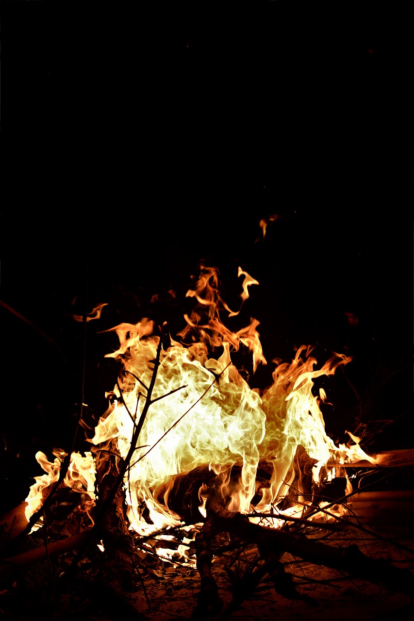 flames camping bonfire free photo