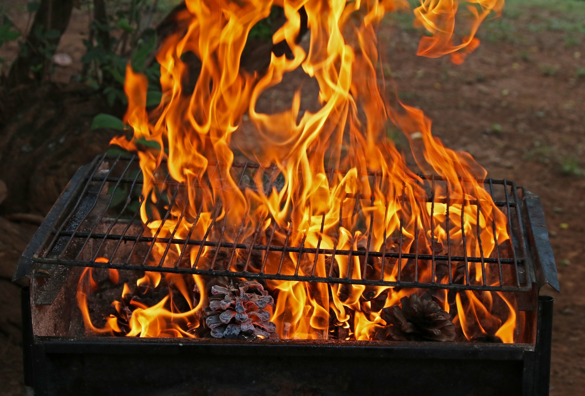 fire flames orange free photo