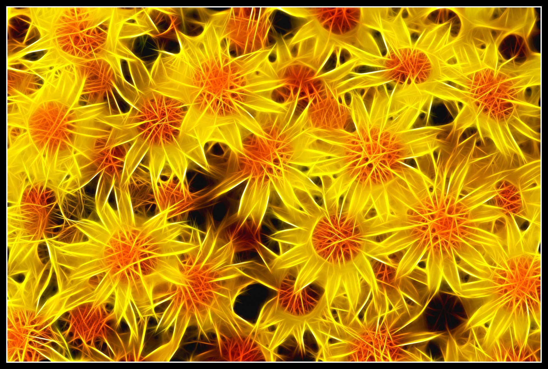 ragwort flower nature free photo