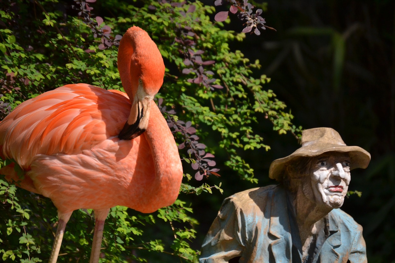 flamingo statue colorful free photo