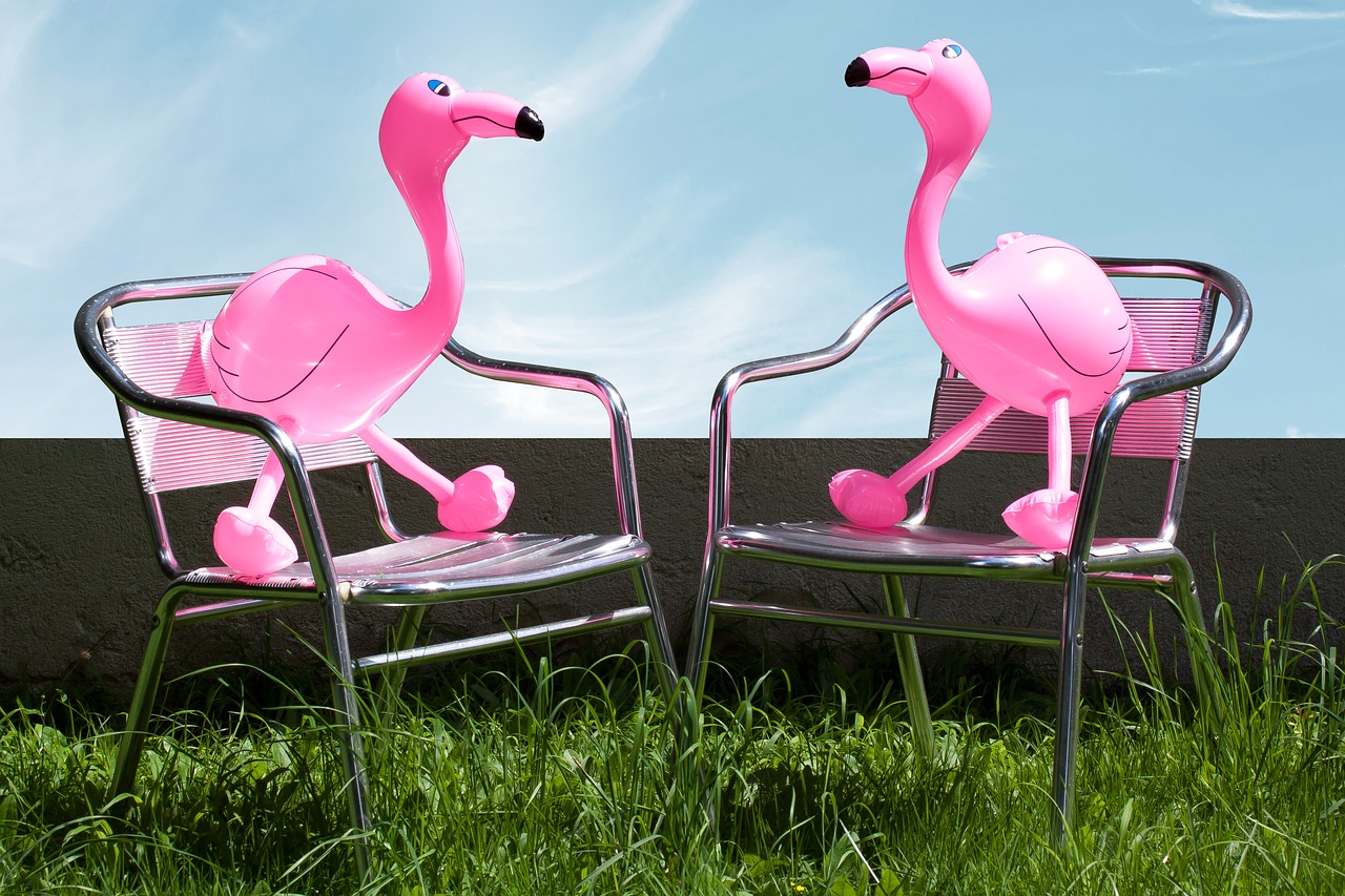 flamingo inflatable pink free photo