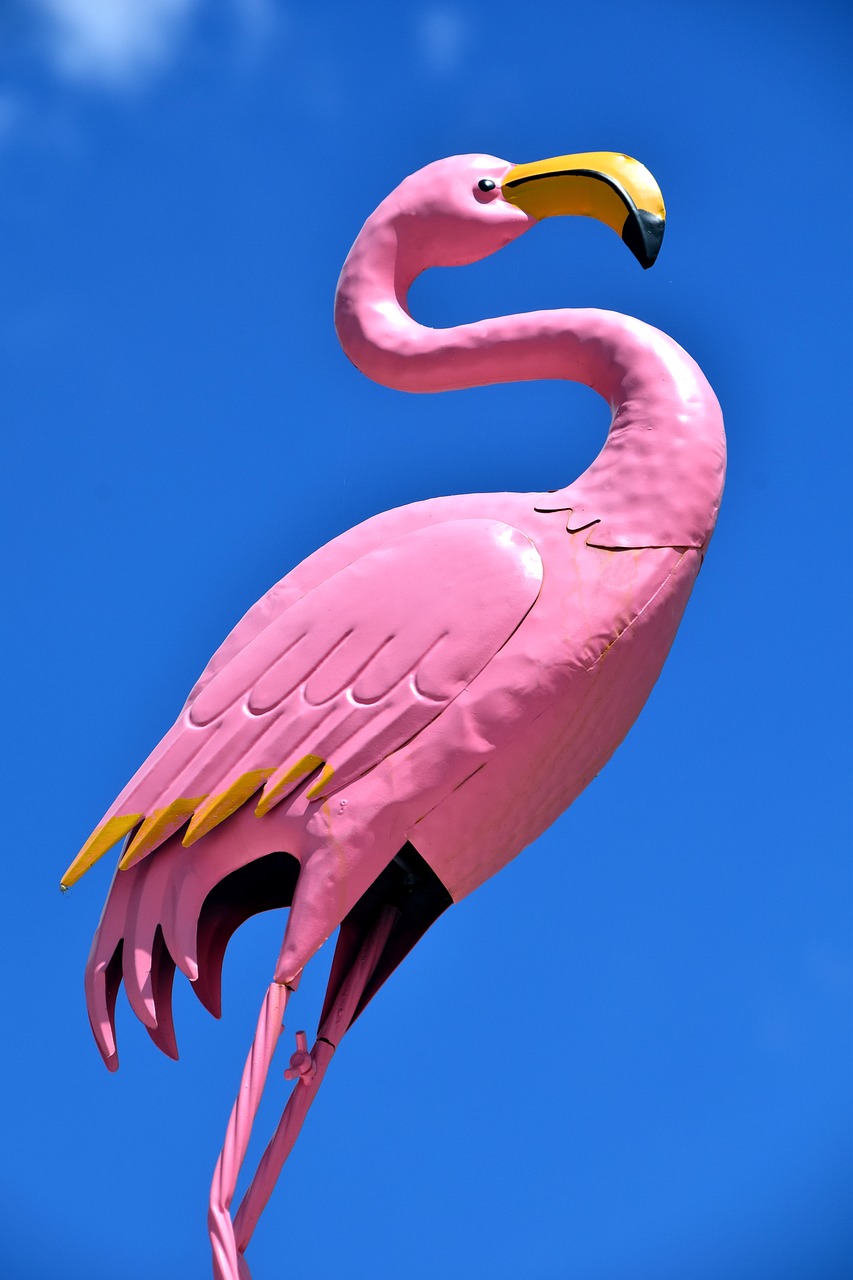 flamingo figure art free photo