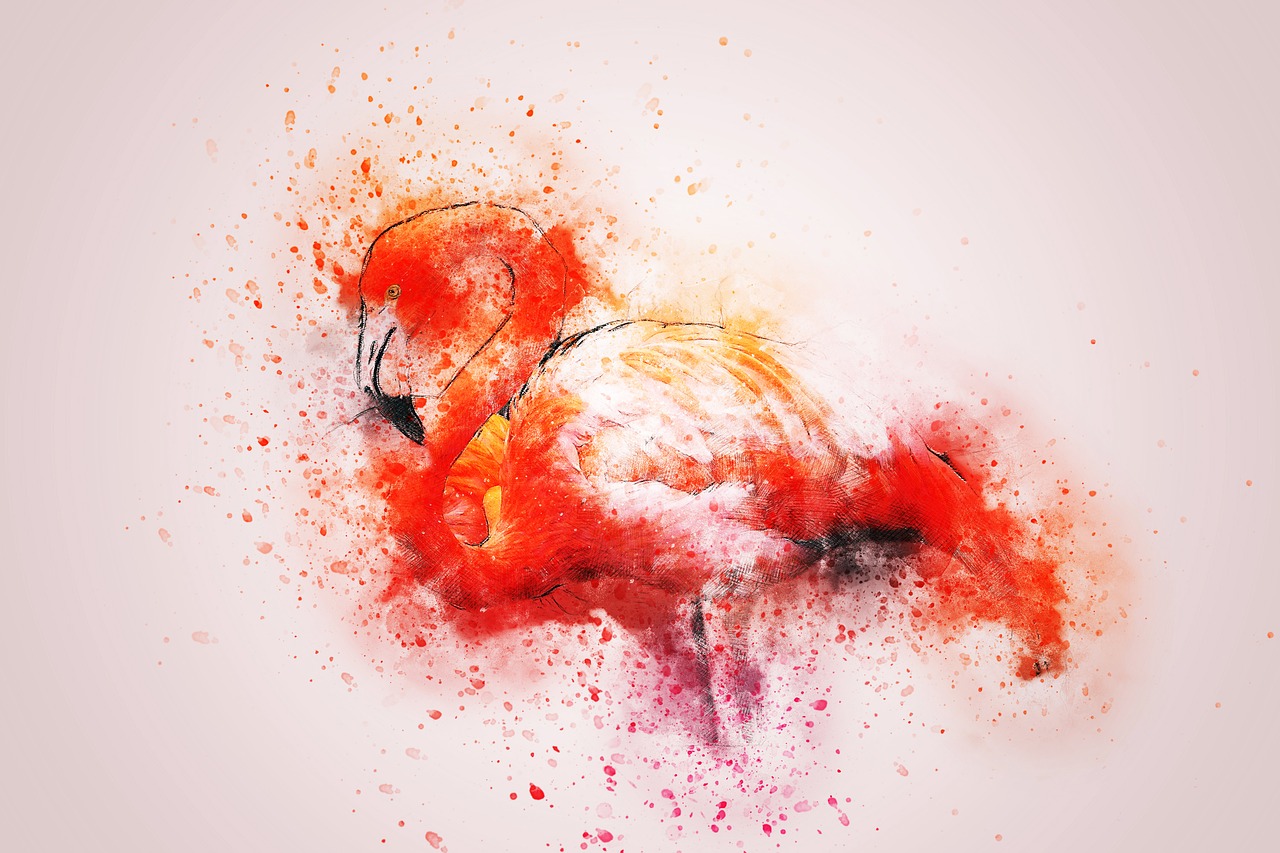 flamingo colorful art free photo