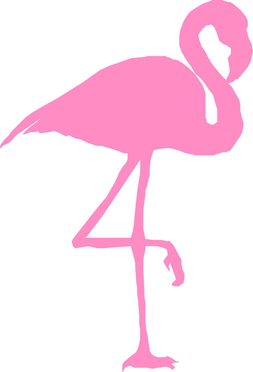 flamingo bird silhouette free photo