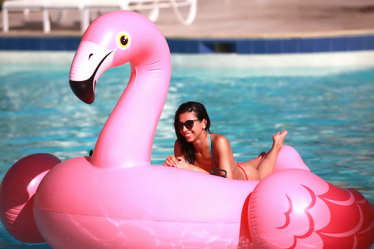 flamingo  pool  sea free photo