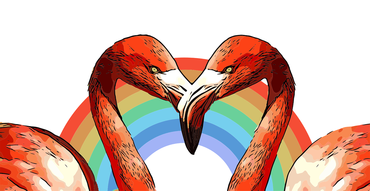 flamingo  rainbow  love free photo