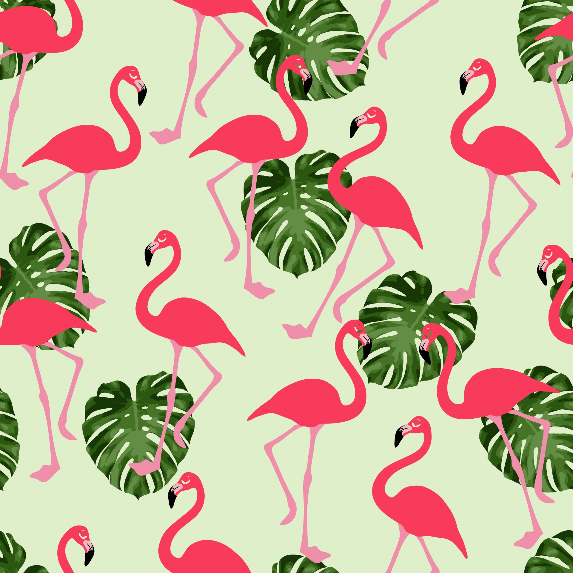 flamingo flamingoes pink free photo