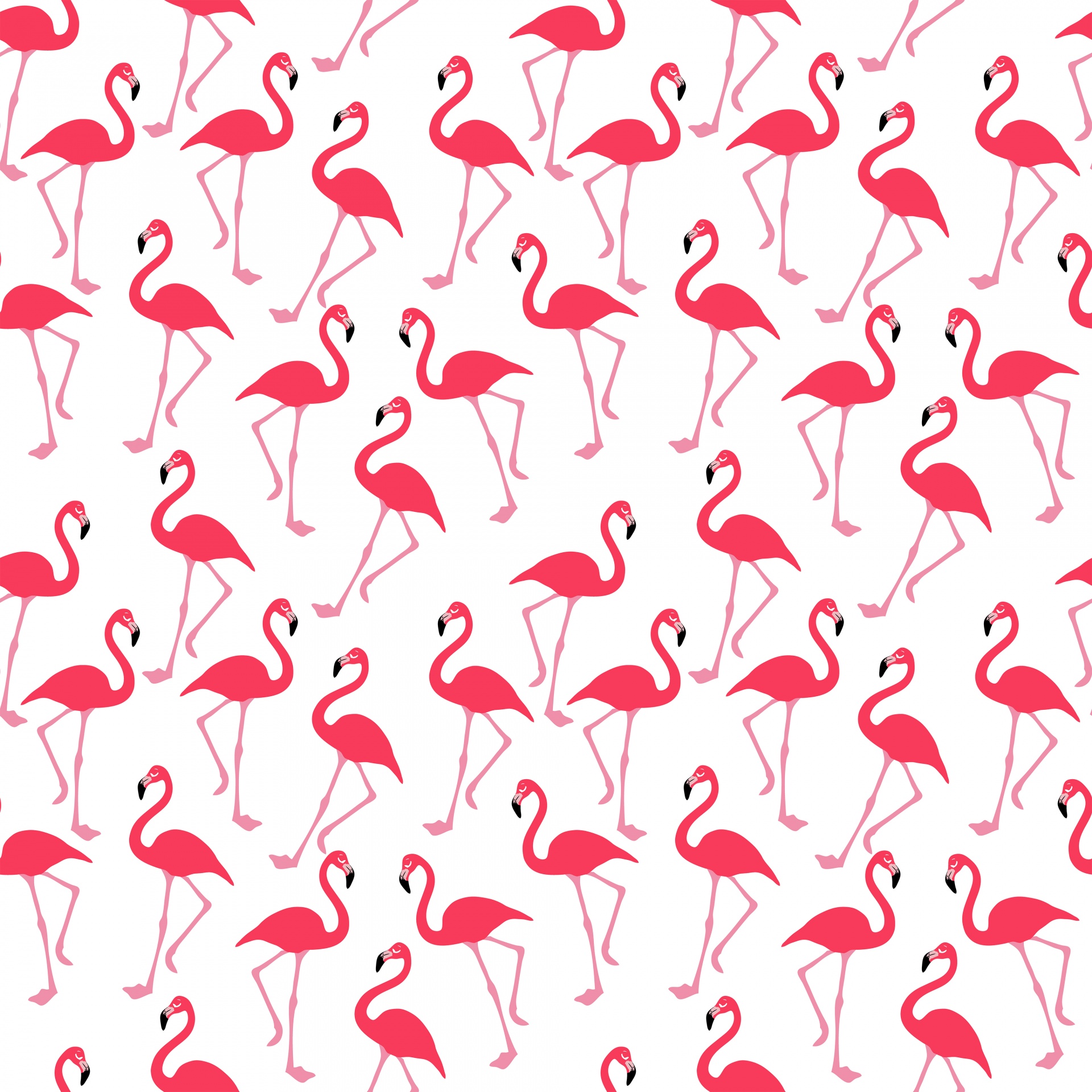 flamingo flamingos wallpaper free photo