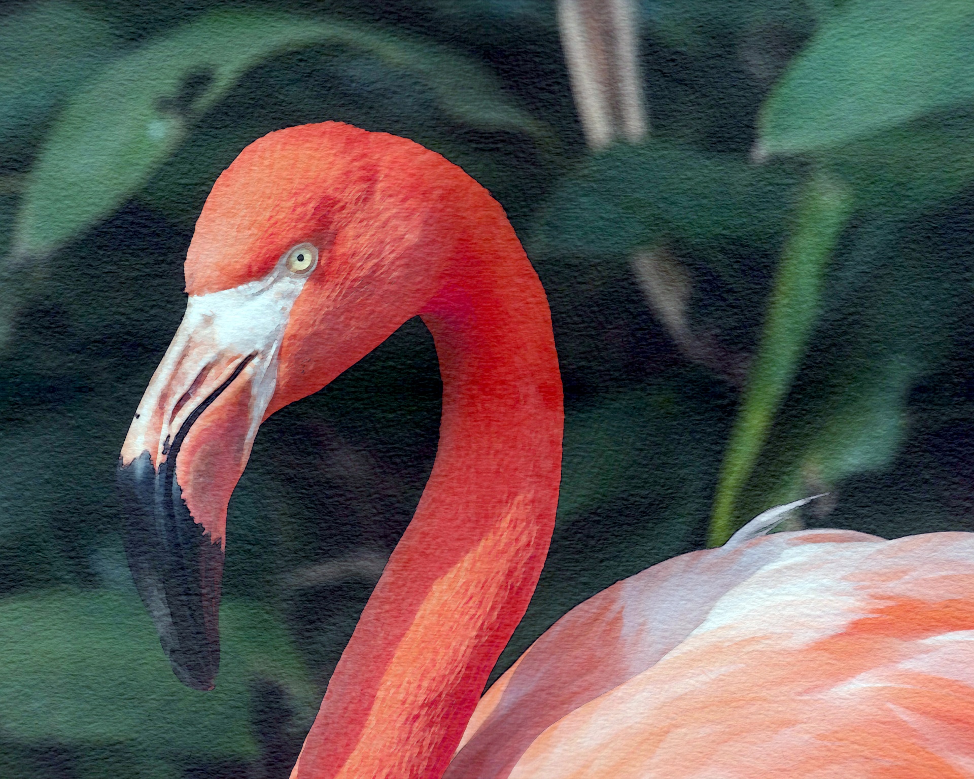 flamingo watercolor painting free photo