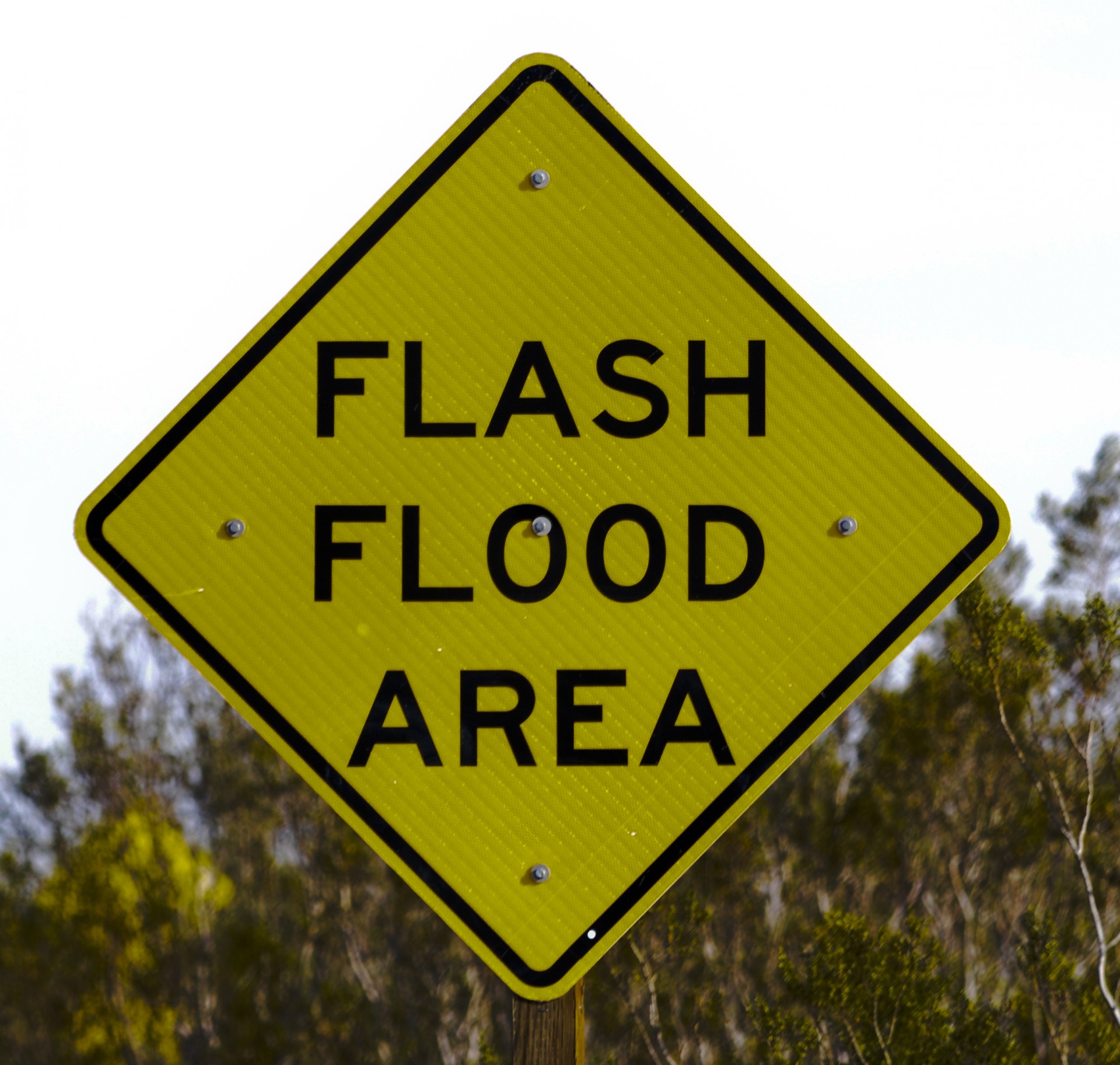 flash flood floods sign free photo