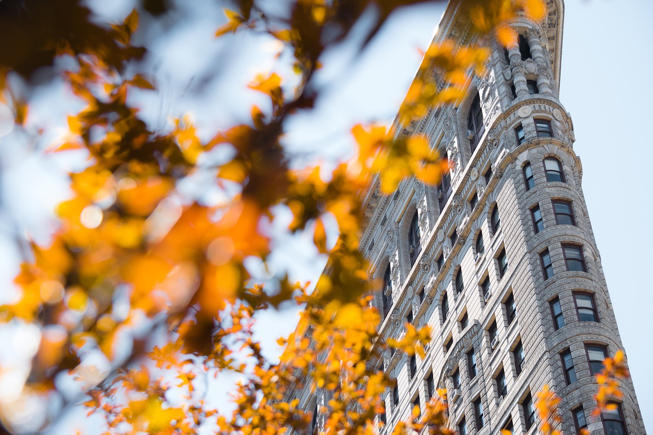 flatiron building building new york free photo