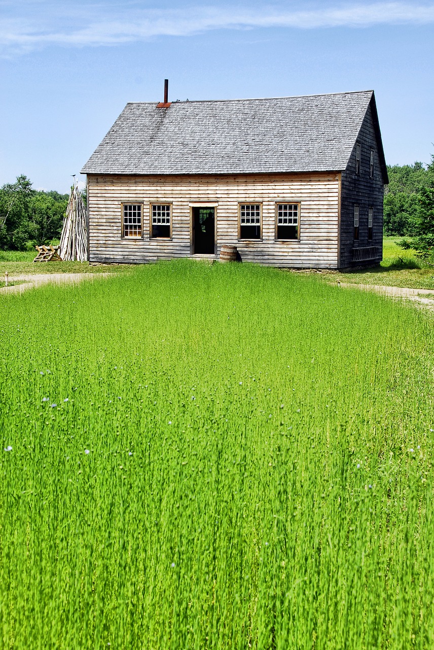 flax field farm house free photo