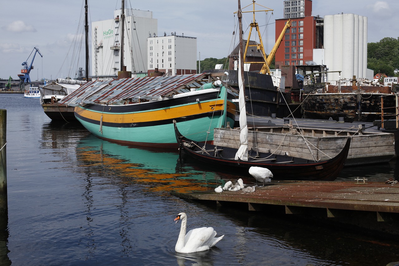 flensburg port swan free photo