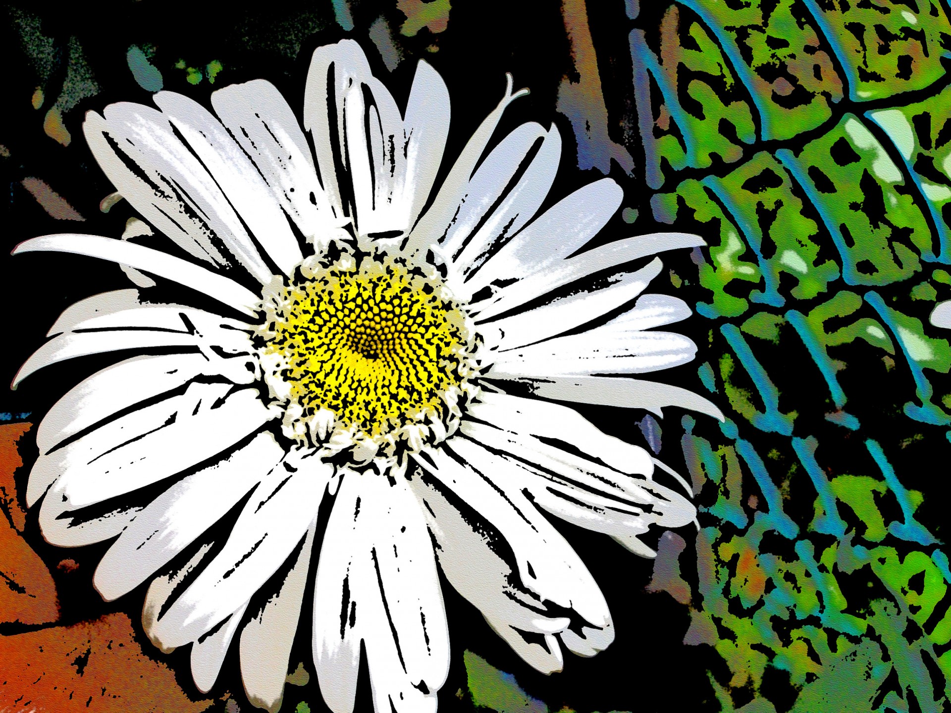 flower white design free photo