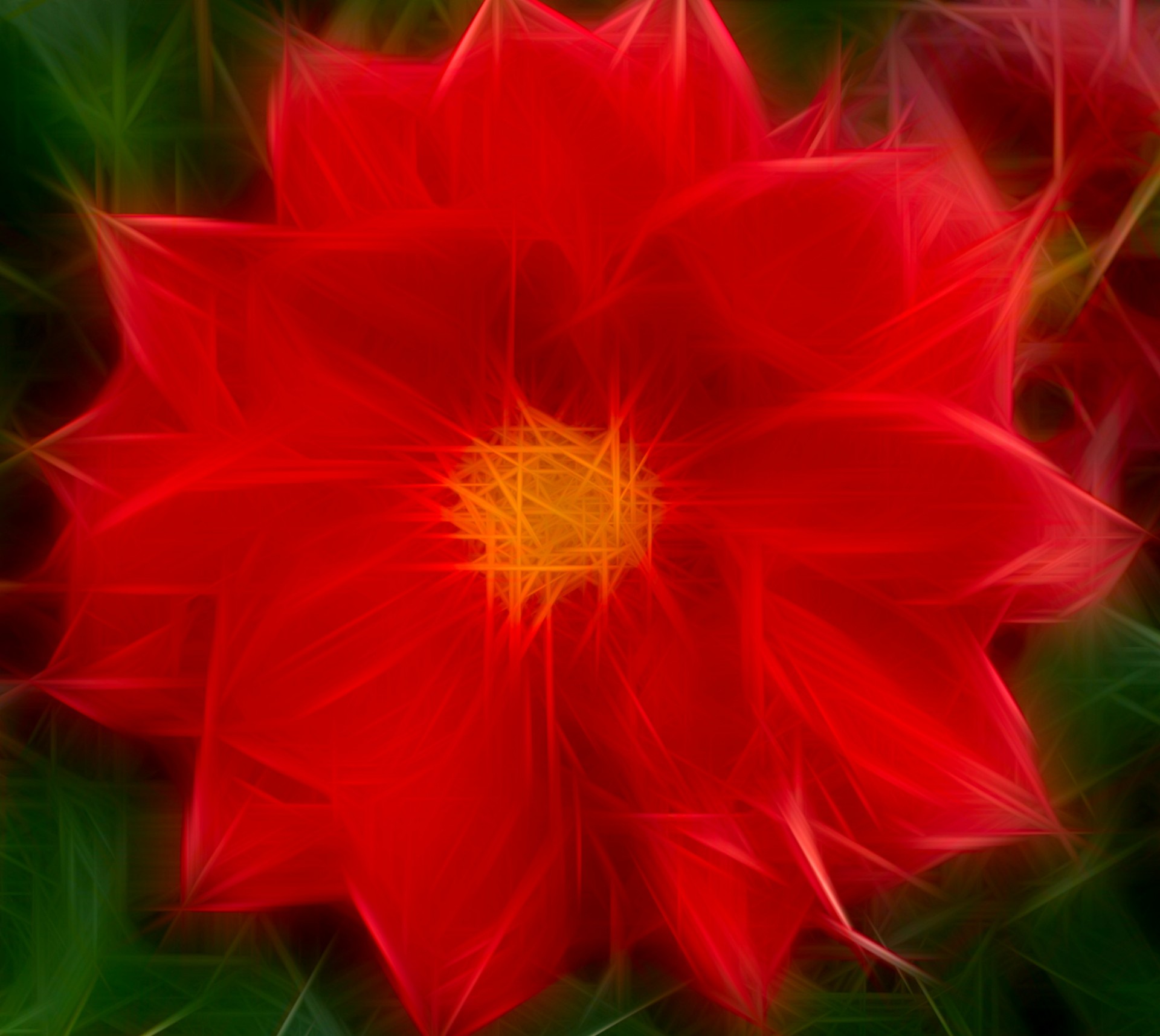 flowers red design free photo