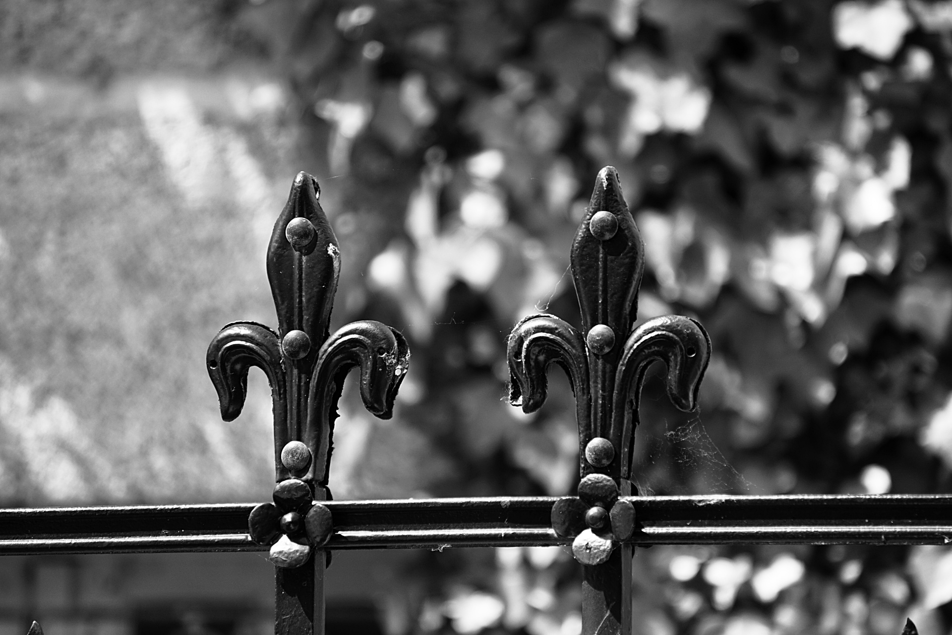 gate wrought iron free photo