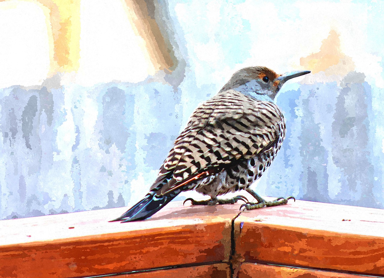 flicker bird watercolor free photo