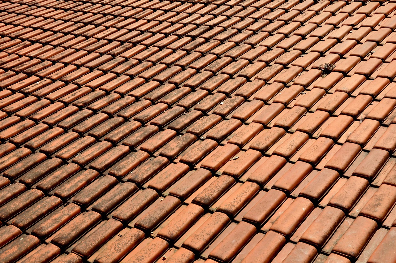 inclined clay roof tiles roof free photo