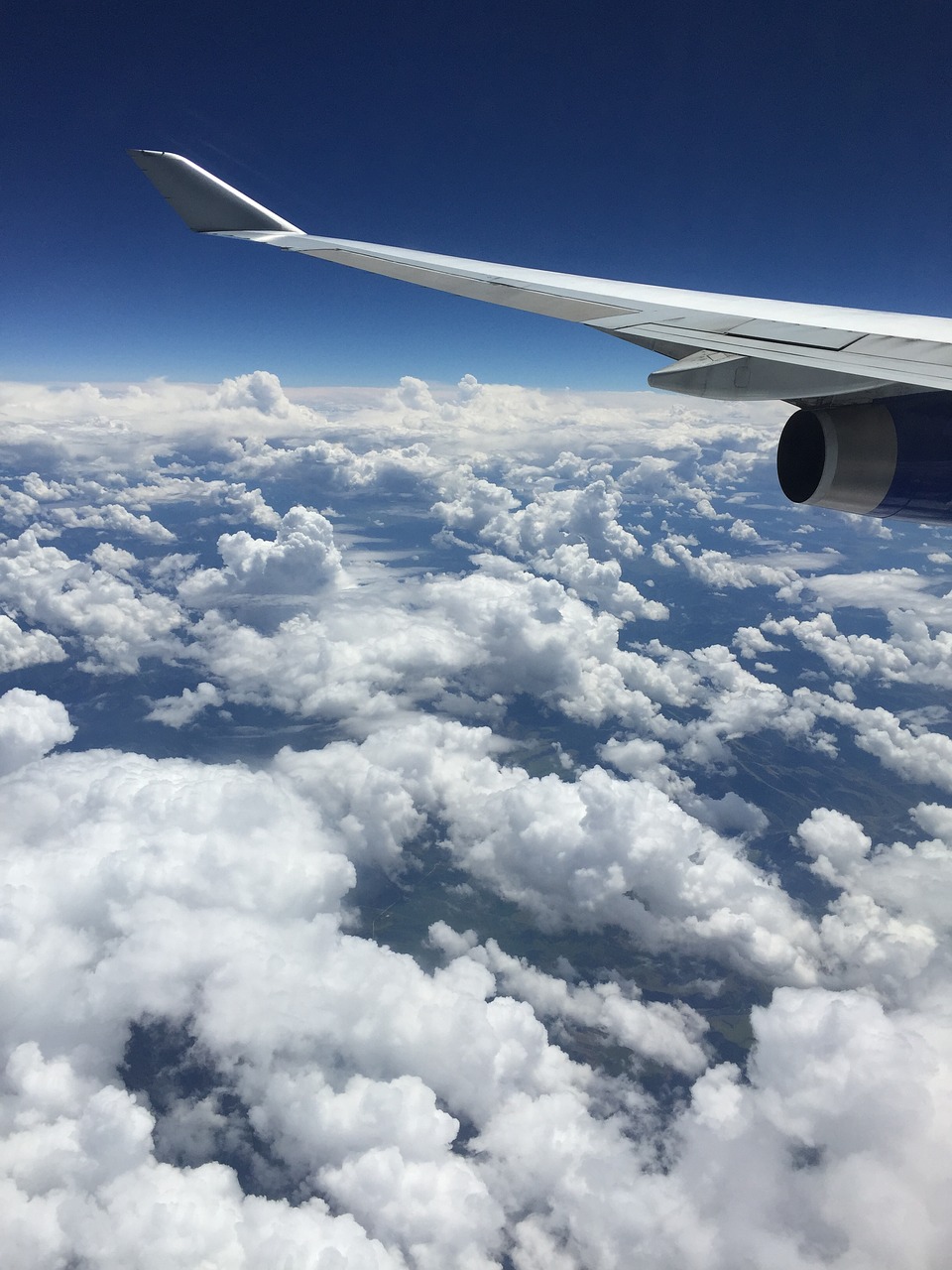 flight aircraft wing free photo