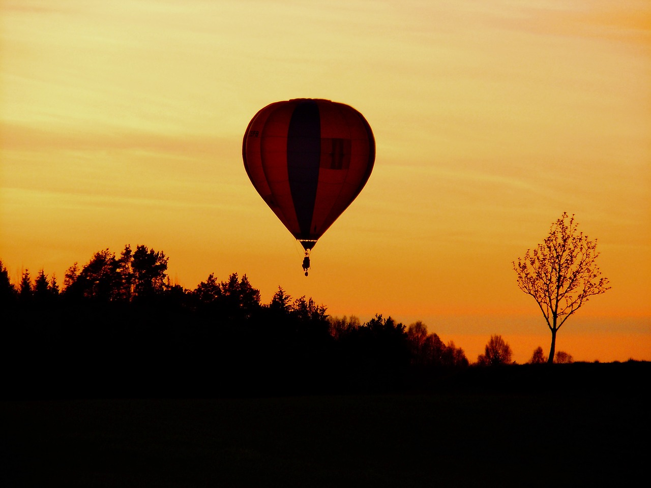 flight balloon flying free photo