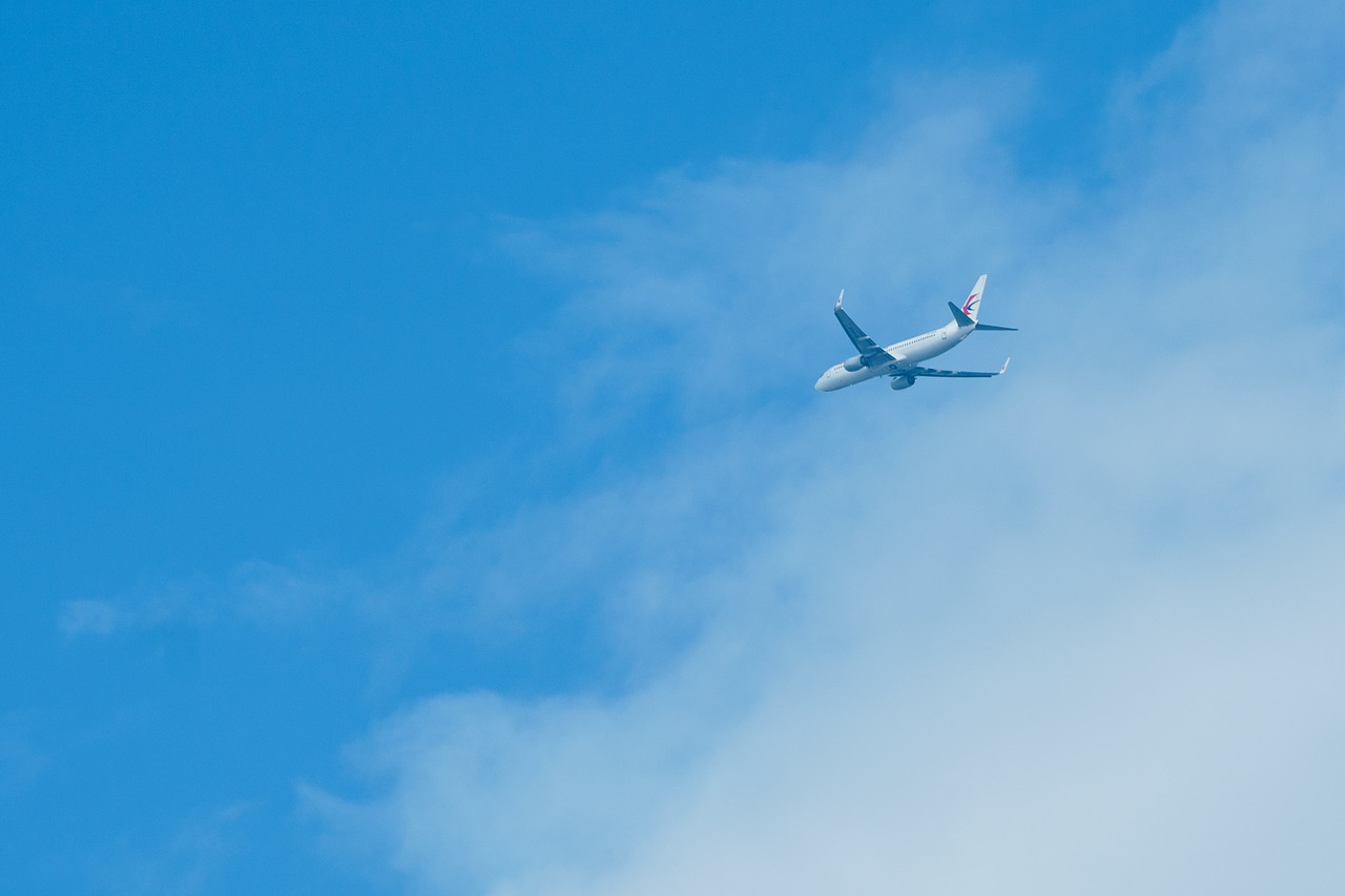 flight aircraft sky free photo