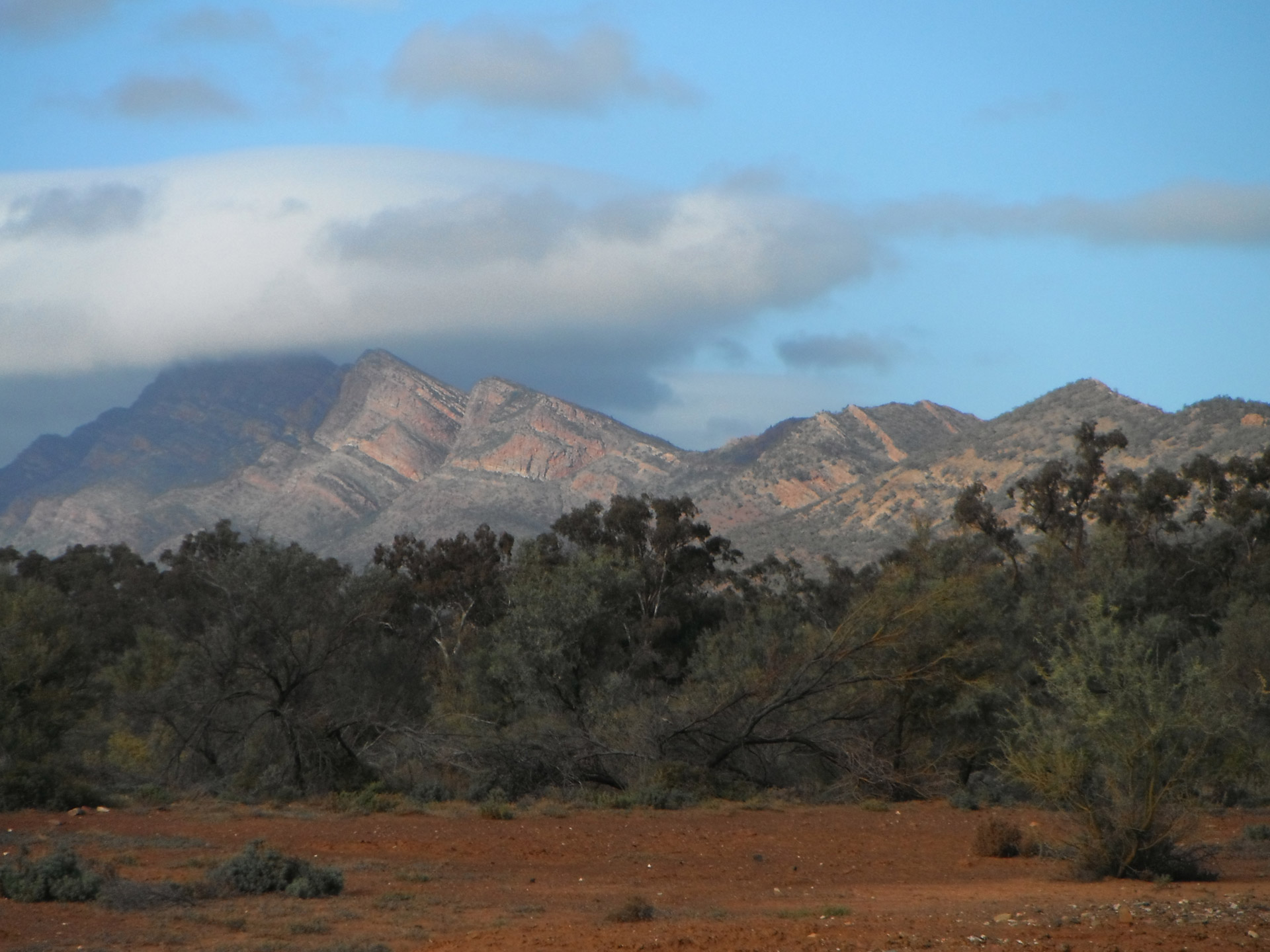 mountains creeks gumtrees free photo