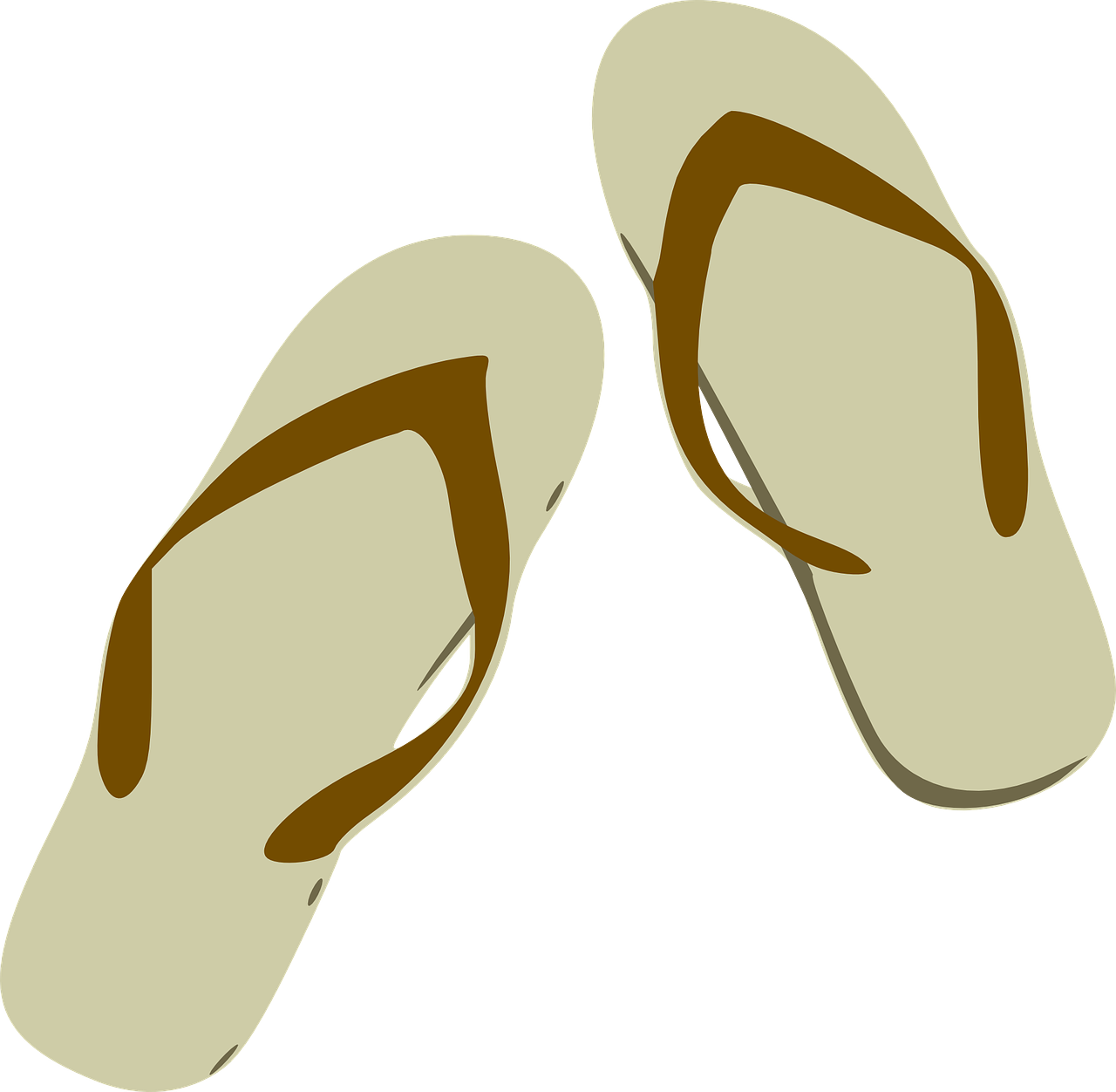 flip flops sandals footwear free photo