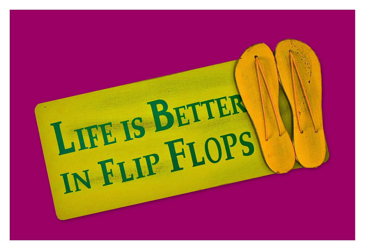 flip flops shoes shield free photo