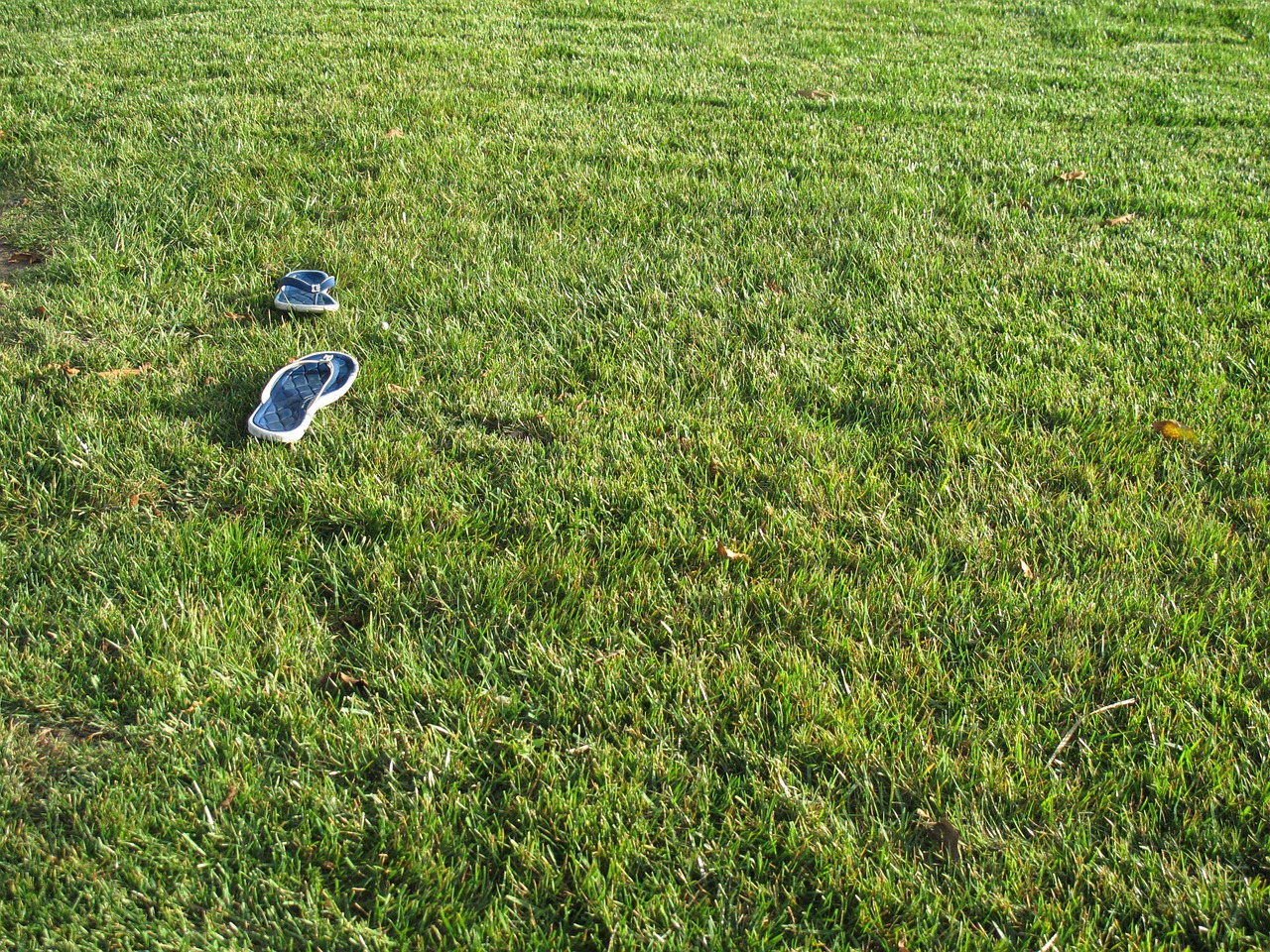 flip flops sandals grass free photo