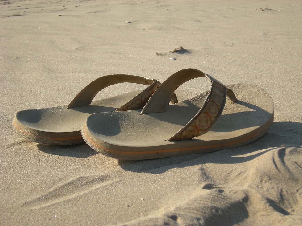 flip flops sandals beach free photo